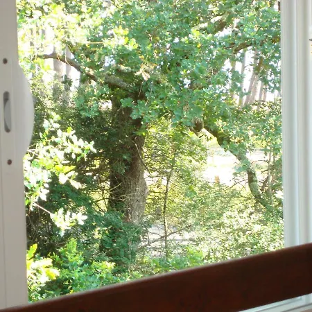 Mansarde Climatise Les Roseaux Bord De *