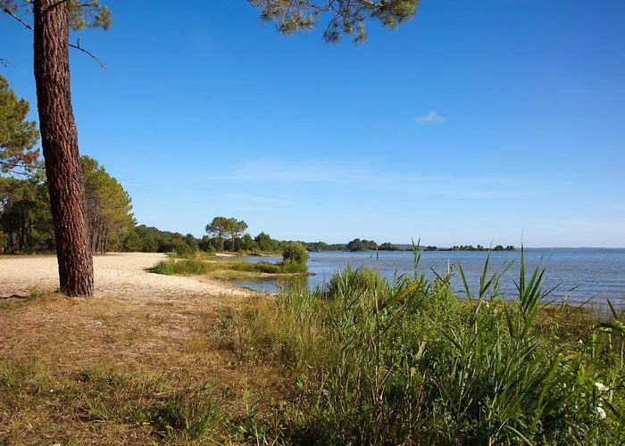 דירה Mansarde Climatise Les Roseaux Bord De *
