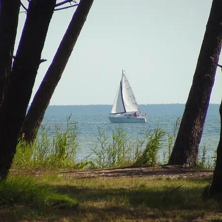 Mansarde Climatise Les Roseaux Bord De