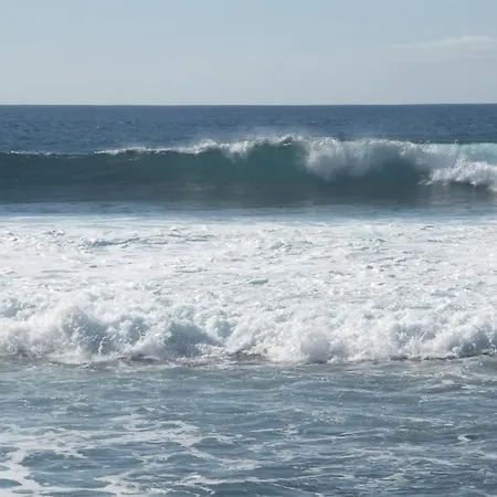 Lägenhet Mansarde Climatise Les Roseaux Bord De