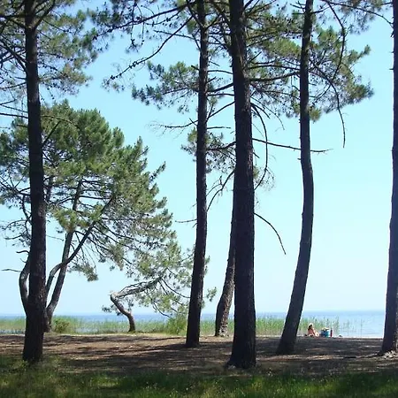 Mansarde Climatise Les Roseaux Bord De Lägenhet *