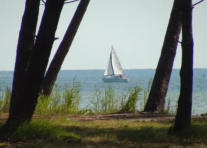 Mansarde Climatise Les Roseaux Bord De