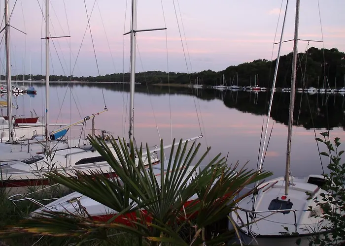 Apartman Mansarde Climatise Les Roseaux Bord De Biscarrosse