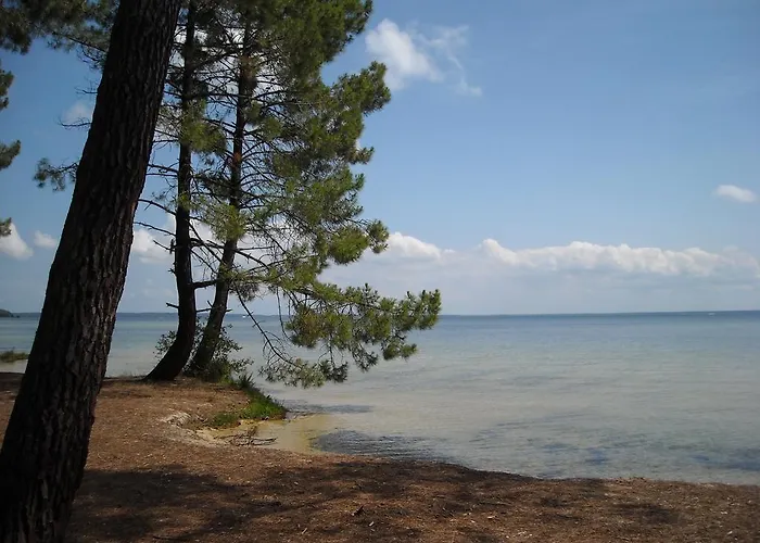 Appartement Mansarde Climatise Les Roseaux Bord De *