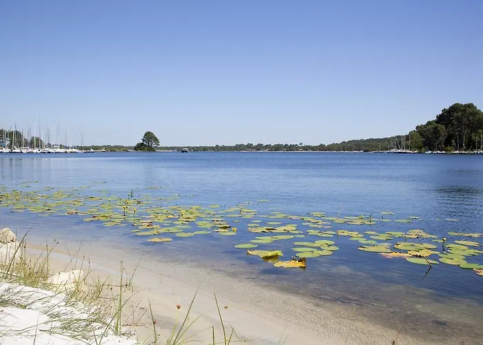Mansarde Climatise Les Roseaux Bord De *