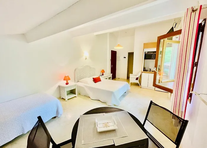 Mansarde Climatise Les Roseaux Bord De Appartement Biscarrosse