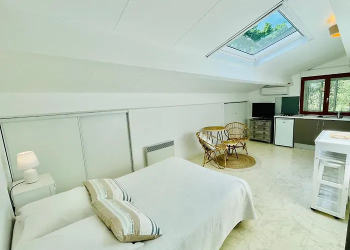 Apartman Mansarde Climatise Les Roseaux Bord De *