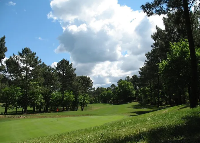 Appartement Mansarde Climatise Les Roseaux Bord De *