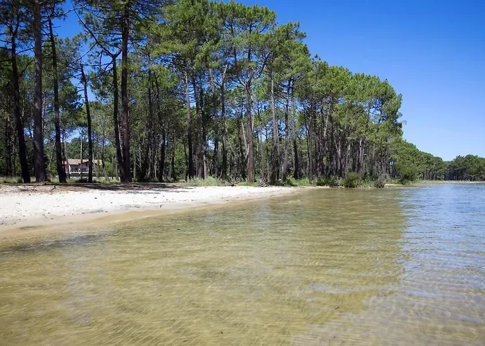 Appartement Mansarde Climatise Les Roseaux Bord De