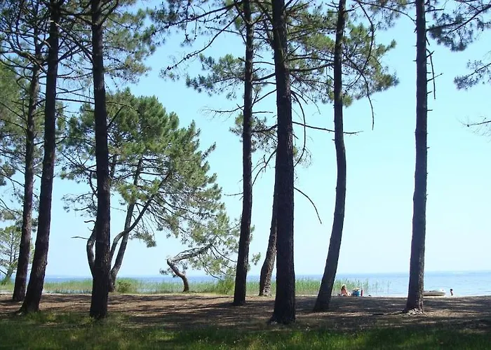 Mansarde Climatise Les Roseaux Bord De Appartement *
