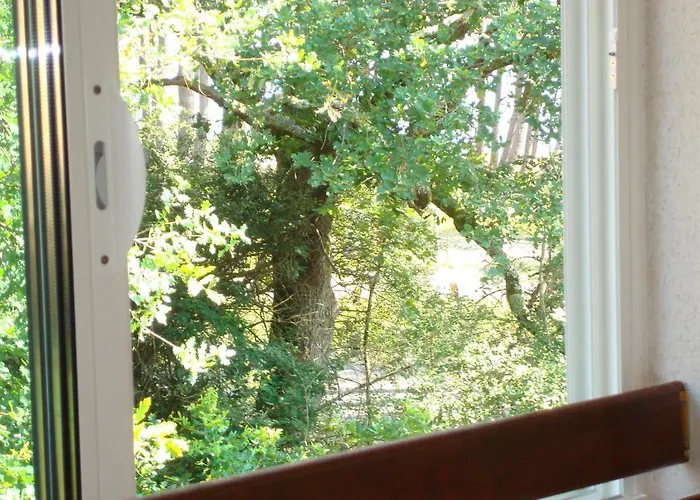 Mansarde Climatise Les Roseaux Bord De *