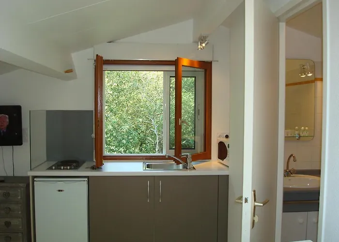 Mansarde Climatise Les Roseaux Bord De Biscarrosse